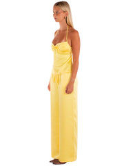 Daphne Pant | Daffodil